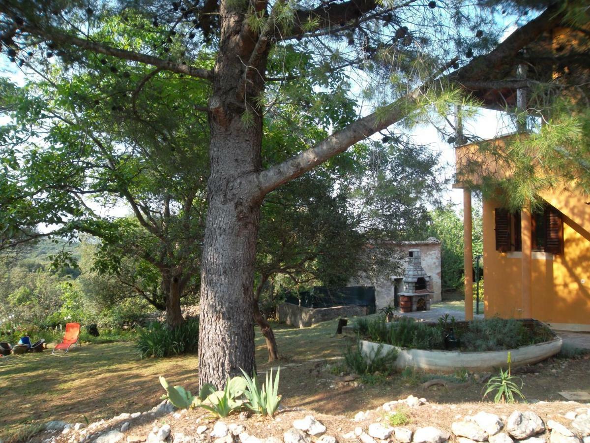 Hodak