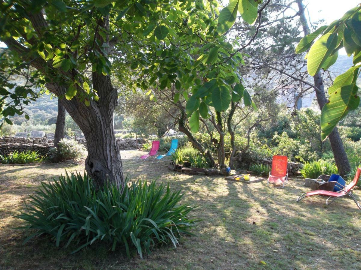 Apartament Hodak *
