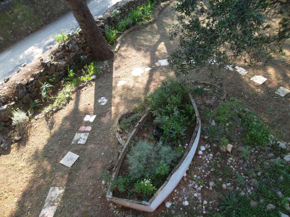 Appartamento Hodak