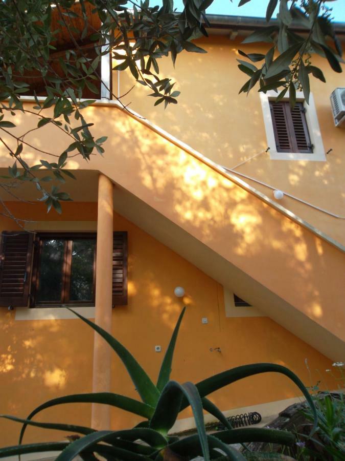Appartamento Hodak